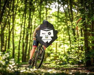 Bataille de Norg photo