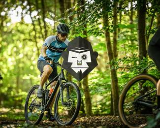 Veldslag om Norg photo