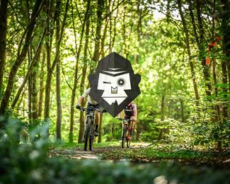 Veldslag om Norg photo