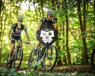 Veldslag om Norg photo