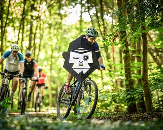 Bataille de Norg photo