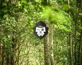 Battle of Norg photo