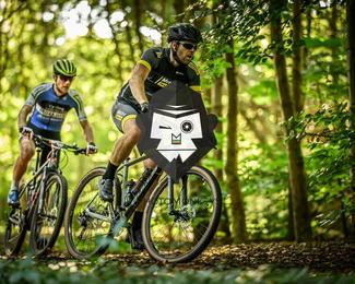 Bataille de Norg photo