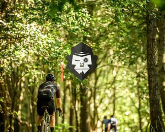 Bataille de Norg photo