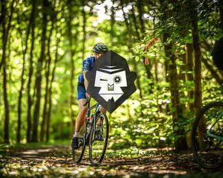 Bataille de Norg photo