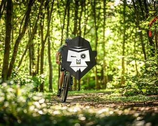 Bataille de Norg photo