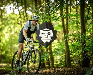 Veldslag om Norg photo