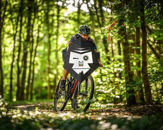 Bataille de Norg photo