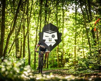 Bataille de Norg photo