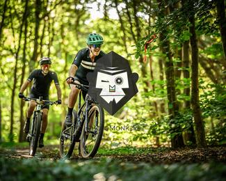 Bataille de Norg photo