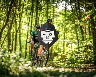 Bataille de Norg photo