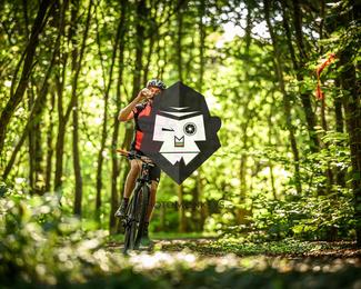 Bataille de Norg photo