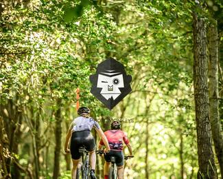 Battle of Norg photo