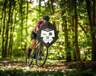 Bataille de Norg photo