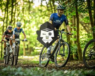 Bataille de Norg photo