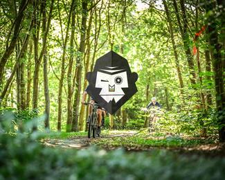 Veldslag om Norg photo