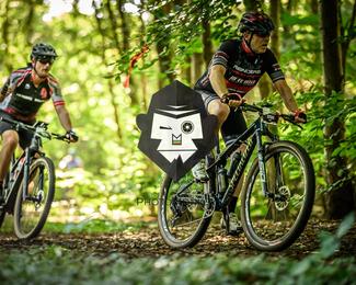 Bataille de Norg photo