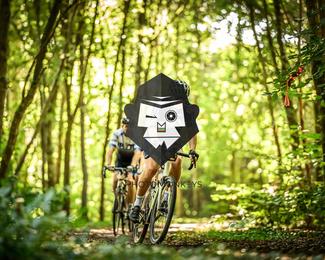 Bataille de Norg photo