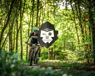 Bataille de Norg photo