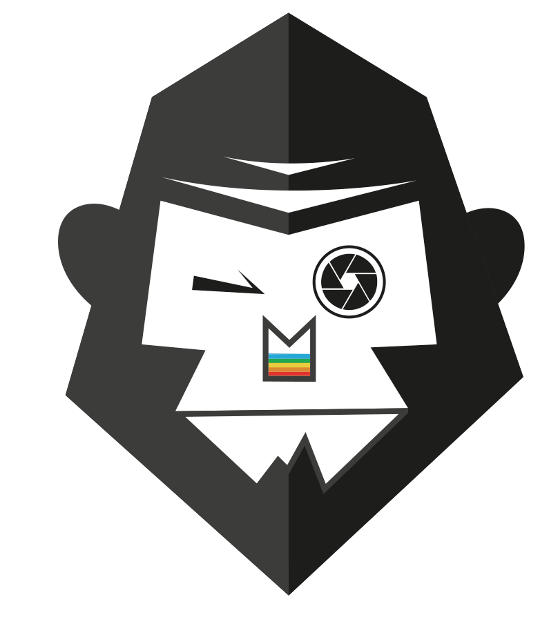 Logo vanPhotoMonkeys